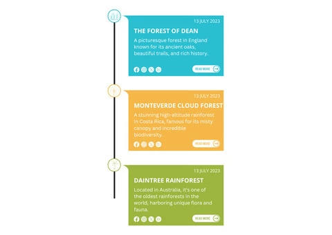 UK's Best WordPress Timeline Plugins for Visual Storytelling - 3/3