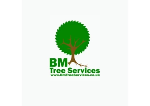 ???? Transform Your Glasgow Property with BM Tree Services! ????
