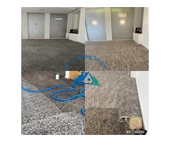 Carpet Cleaning ( Steam Cleaning)