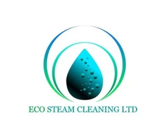 Green Carpet and Upholstery Steam Cleaning - The Eco-Friendly Service for Dorset Homes