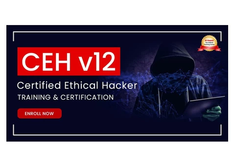 Ethical Hacker Online Training