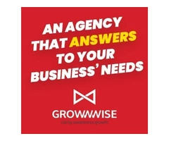 Growwwise: Digital Marketing Agency