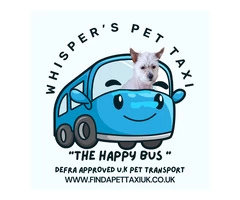 DEFRA APPROVED PET MOVING SERVICE FOR DOGS AND CATS
