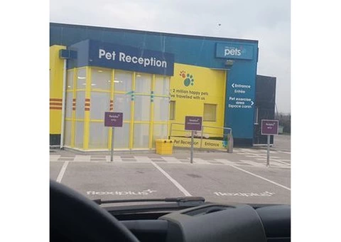 DEFRA APPROVED PET MOVING SERVICE FOR DOGS AND CATS - 4/11