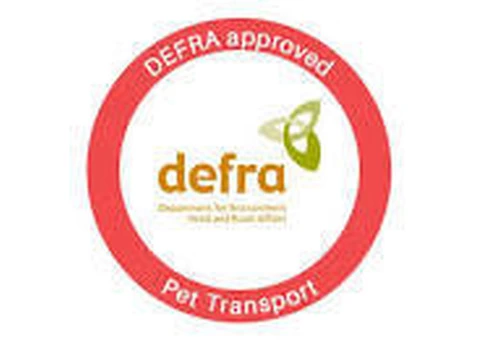 DEFRA APPROVED PET MOVING SERVICE FOR DOGS AND CATS - 11/11
