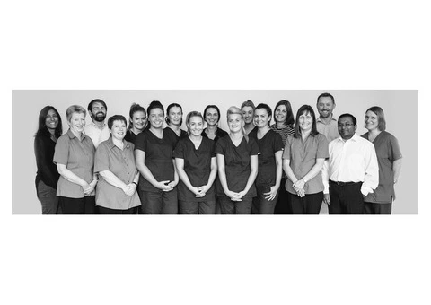 Meadowbank Dental Practice - 3/3