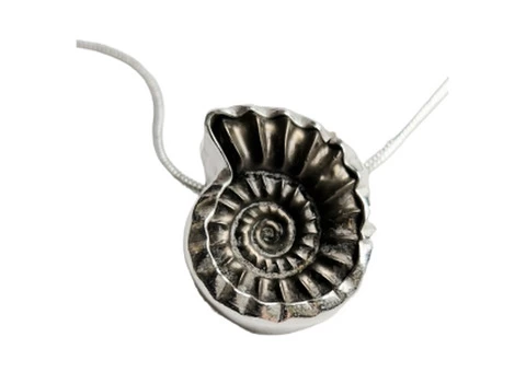 Ammonite fossils: a window into Earth's ancient past - 3/4
