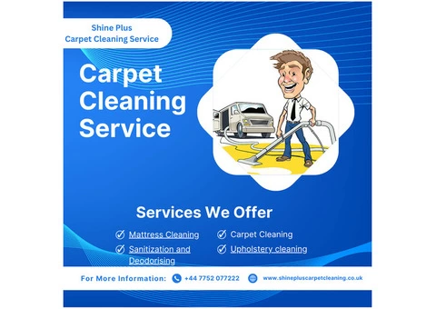 Professional Carpet Cleaning Services in London & Harrow - 2/4
