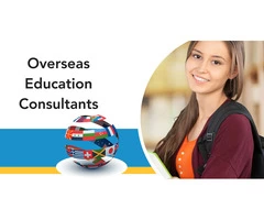 Consultant for education