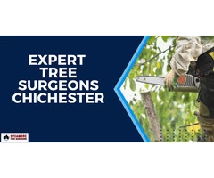 Expert Tree Surgery Consultation in Chichester
