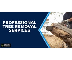 Professional Tree Removal Services in Peterborough