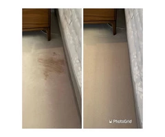 Transform Your Carpet with Professional Carpet Cleaning in Woking