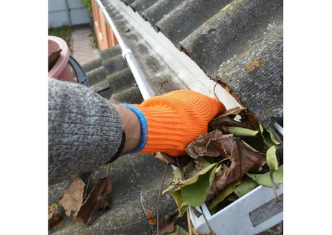 Restore Your Roof's Beauty - Professional Roof Cleaning in Dundee