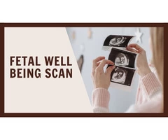 Secure Peace of Mind: Fetal Well-being Scan in Peterborough at Window To The Womb