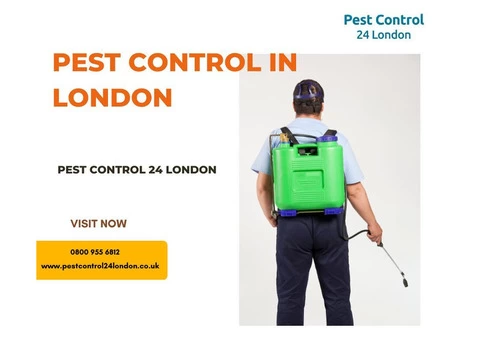 The Best Pest Control in London: Quick, Reliable, and Affordable