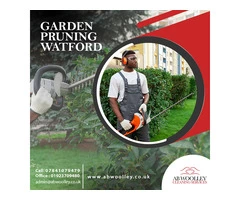 Choose the best services of GARDEN PRUNING in Watford