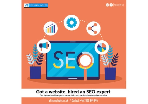 Got a website, hired an SEO expert - V1 Technologies