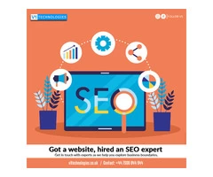 Got a website, hired an SEO expert - V1 Technologies