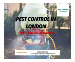 Pest Control London - Expert Solutions to Eliminate Pests