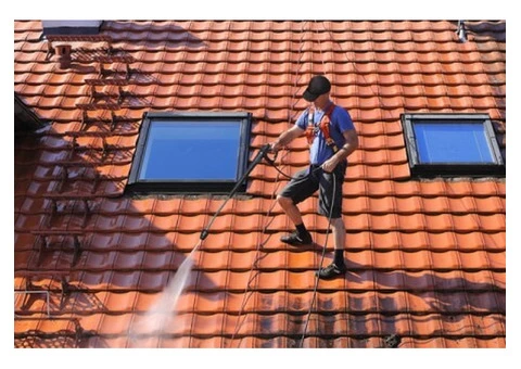 Revitalize Your Home with Expert Roof Cleaning in Edinburgh