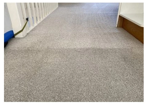 Best Carpet Cleaners - 5/9