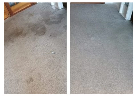 Carpet & Upholstery Cleaning Dumfries - 2/8