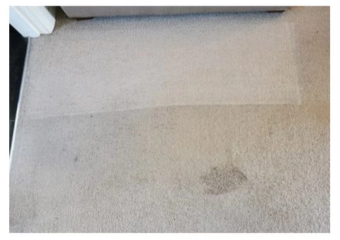 Carpet & Upholstery Cleaning Dumfries - 4/8