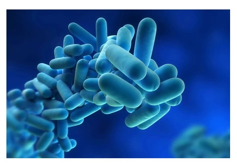 Legionella Schematic Drawing in UK