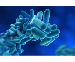 Legionella Schematic Drawing in UK