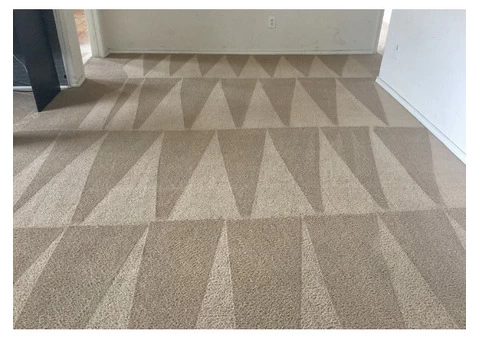 Half-Price Carpet Cleaning in London, A Deal You Can't Miss!