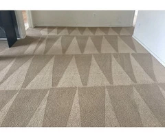 Half-Price Carpet Cleaning in London, A Deal You Can't Miss!