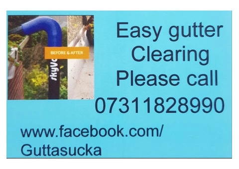 gutter clearing