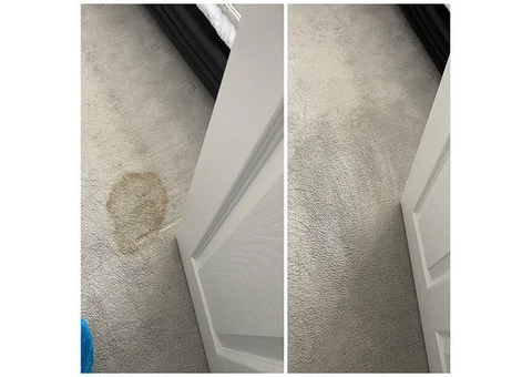 Pro Touch Clean - 7/10