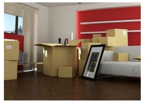 affordable and professional waste removal service - 1/4