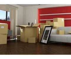 affordable and professional waste removal service
