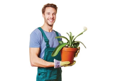 GARDEN LANDSCAPERS,GARDENING,LAWN MOWING - 3/4