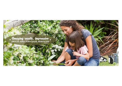Garden Landscapers, Garden Maintenance , Hedge Trimming Specialists - 2/4