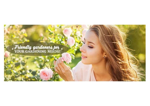 Garden Landscapers, Garden Maintenance , Hedge Trimming Specialists - 4/4