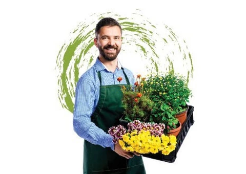 Gardening Services, landscape edging, - 2/3
