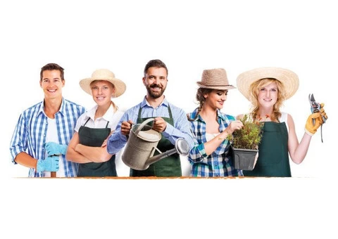 Gardening Services, landscape edging, - 3/3
