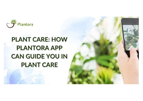Everything About Plantora- Best Plant Care App