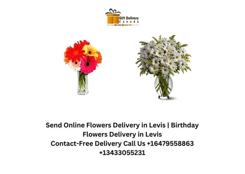 Online Order Combos Gift Delivery in Levis | Anniversary Combos Delivery in Levis - 3/4