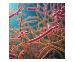 Legionella Prevention Design in UK