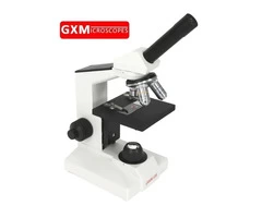 Microscope