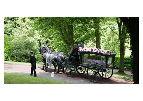 Butterfly Funerals Ltd - Express Your Sympathy with Thoughtful Funeral Flowers