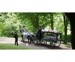 Butterfly Funerals Ltd - Express Your Sympathy with Thoughtful Funeral Flowers