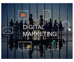 Sprout Media: Your Growth Catalyst in Digital Excellence!