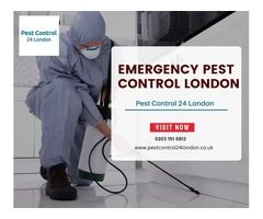 An emergency pest control service in London that responds rapidly to pest infestations 