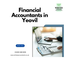 Trustworthy Financial Accountants in Yeovil