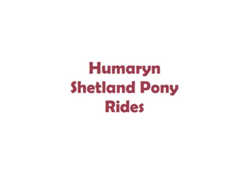Shetland Pony Riding on Stunning Dartmoor - Humaryn Pony Rides - 2/2